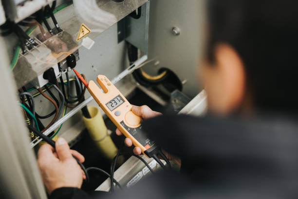 Best Generator Installation Services  in The Hammocks, FL