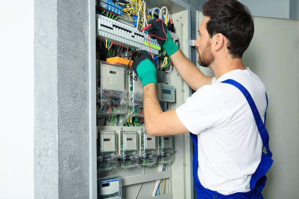 Best Licensed Electrician  in The Hammocks, FL